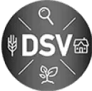 dsv