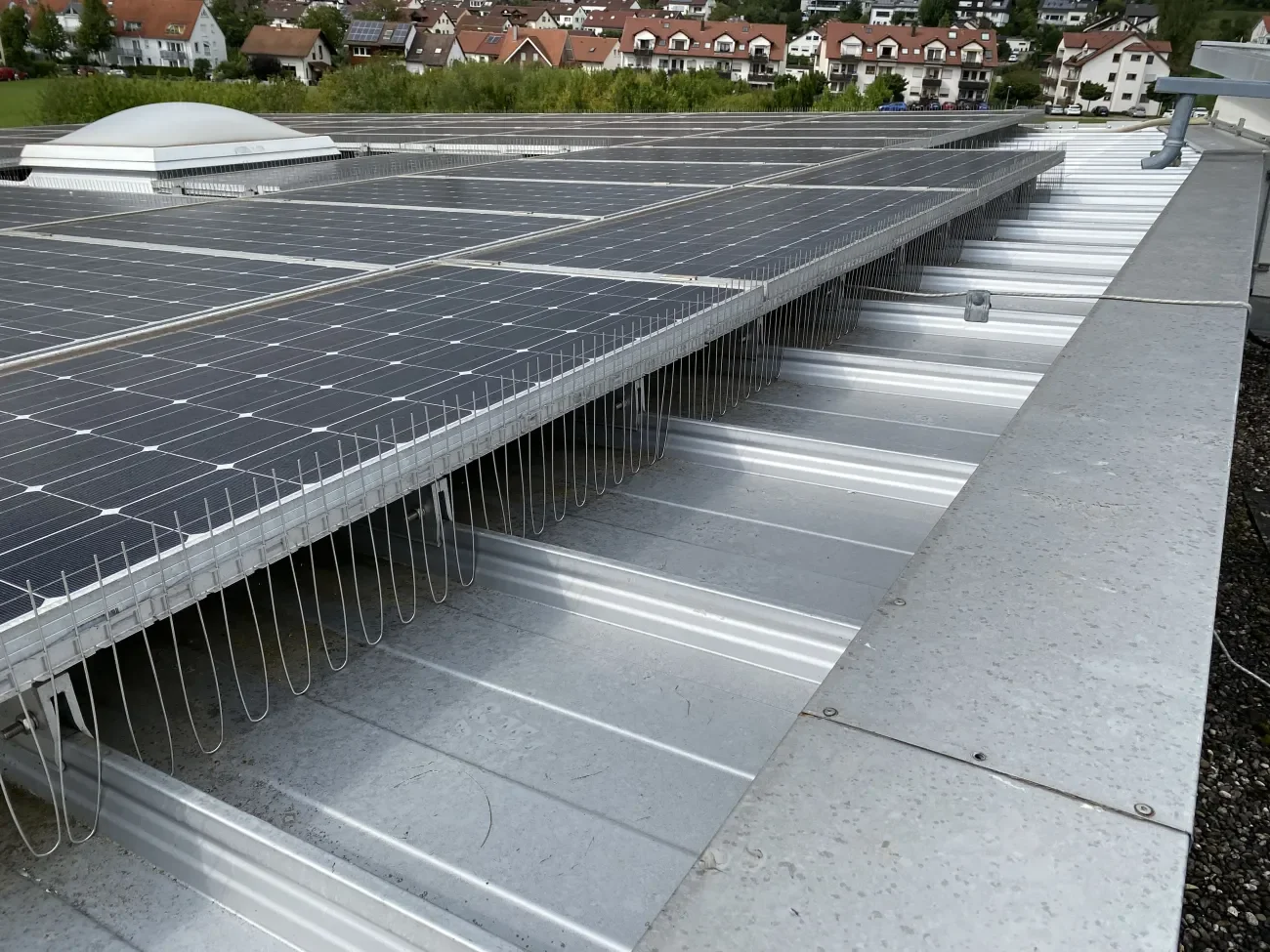 Angebrachte Solarspitzen zur Taubenabwehr auf einem Flachdach