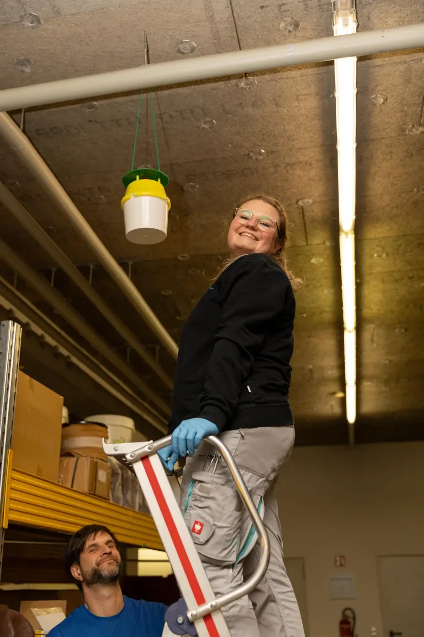 Quereinsteigerin fröhlich auf einer Leiter bei der Arbeit als Schädlingsbekämpferin