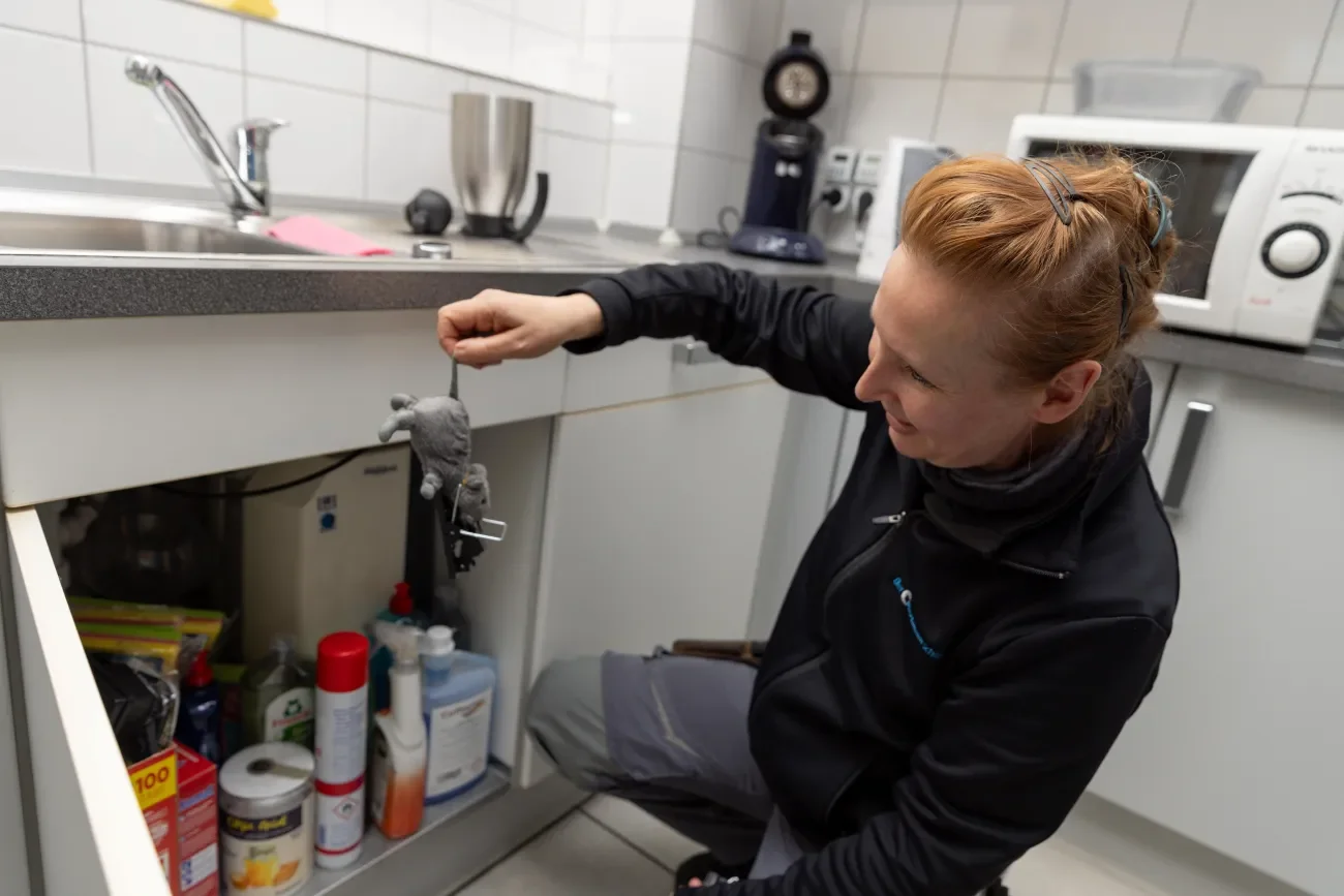 Schädlingsbekämpferin demonstriert Rattenfalle