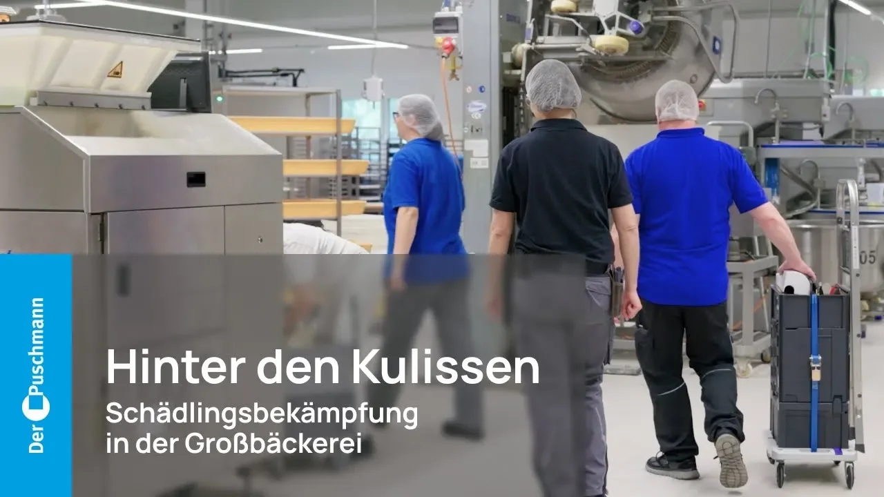 Ein Tag im Leben eines Schädlingsbekämpfers: So schützen wir eine Großbäckerei