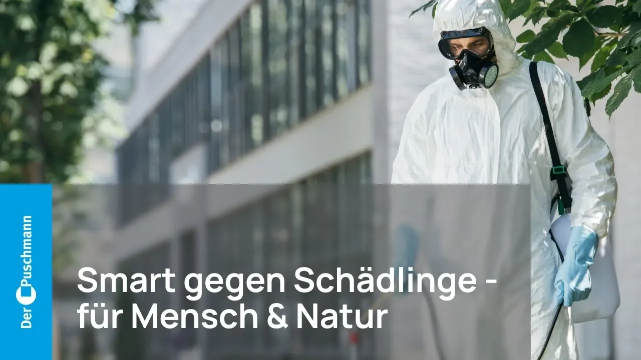 Gründerstory: Wie alles bei Der Puschmann begann – und was uns antreibt