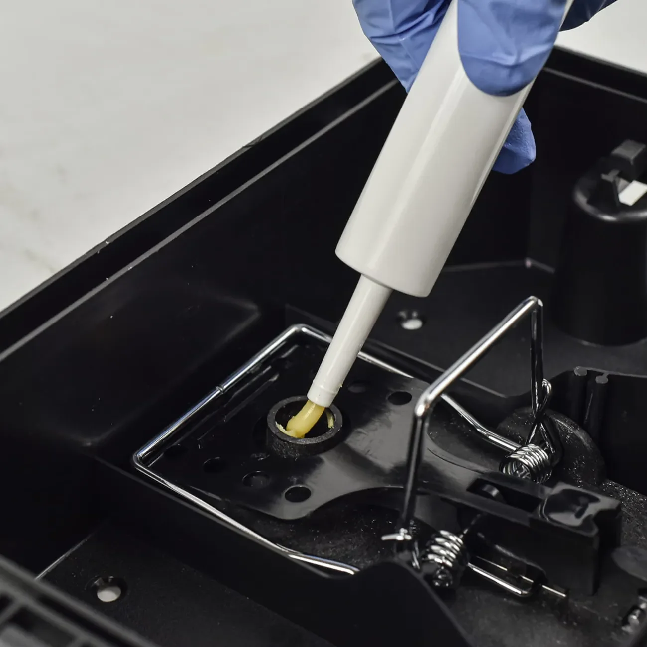 Köderstation mit Schlagfalle, in das ein Fraßgel für Nager gegeben wird