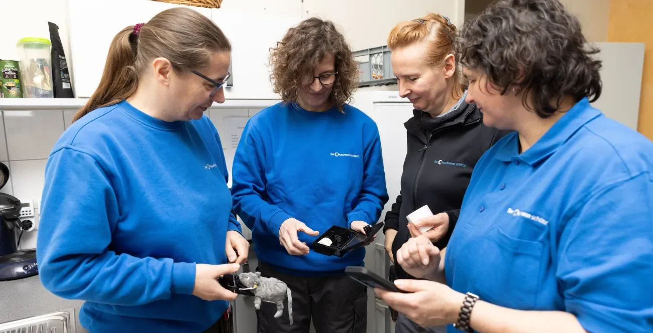 Vier Schädlingsbekämpferinnen probieren gemeinsam eine Mäusefalle aus