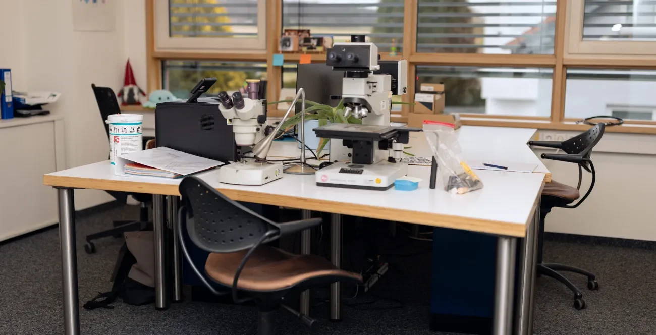 Arbeitsplatz der Biologen mit Mikroskop zur Tierbestimmung von Schädlingen