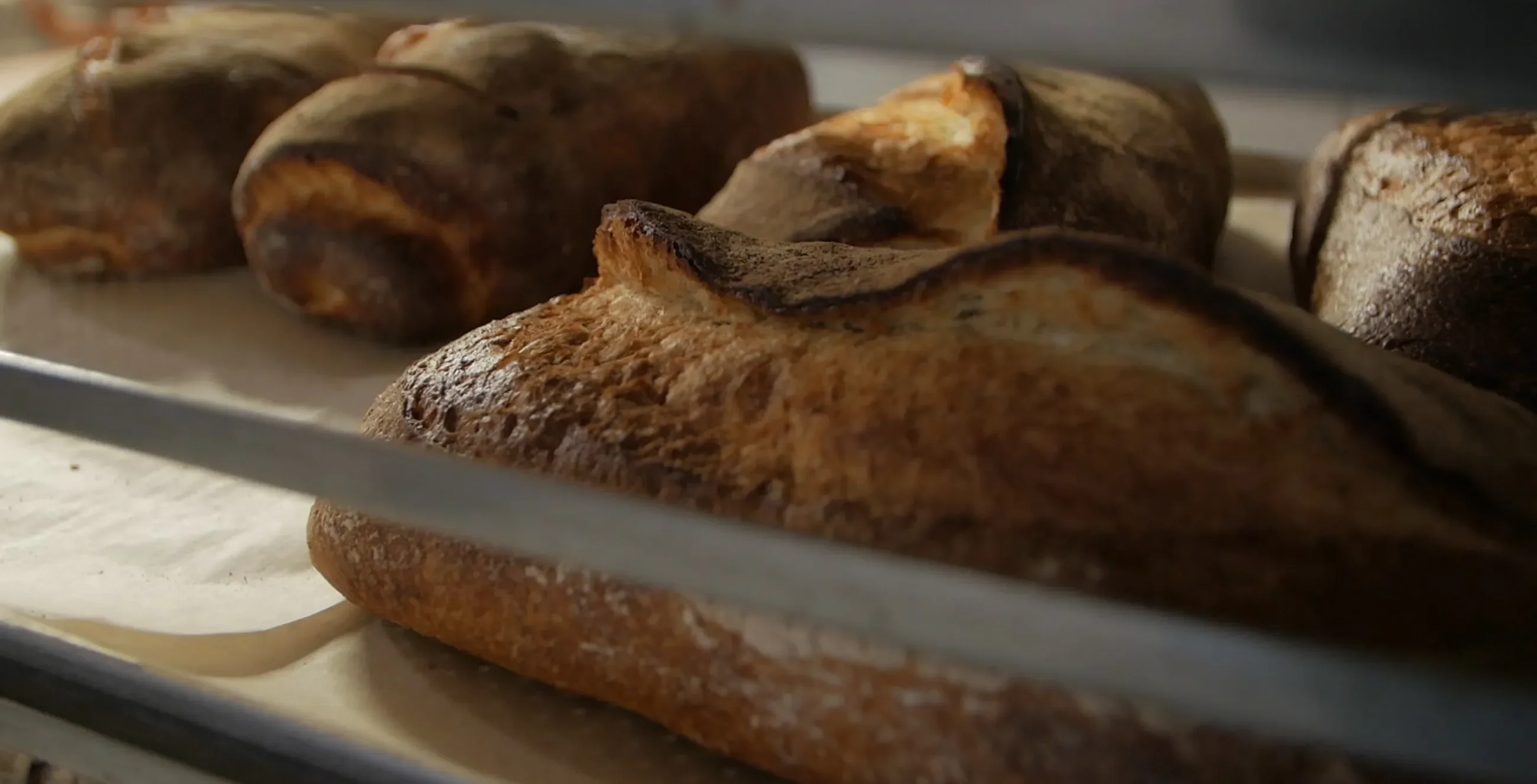 bread