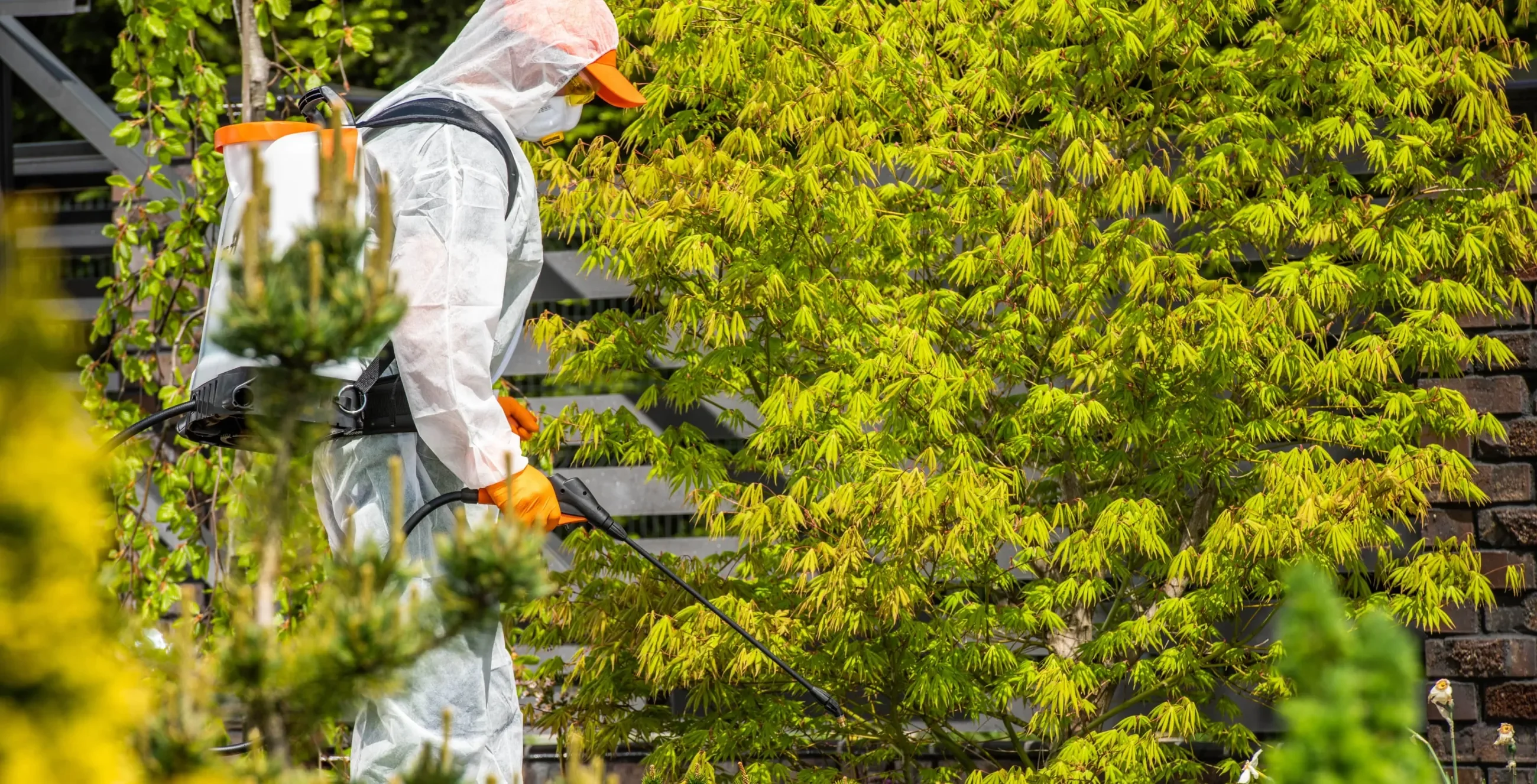 Schädlingsbekämpfer im Schutzanzug beim Sprühen von Pflanzenschutzmittel