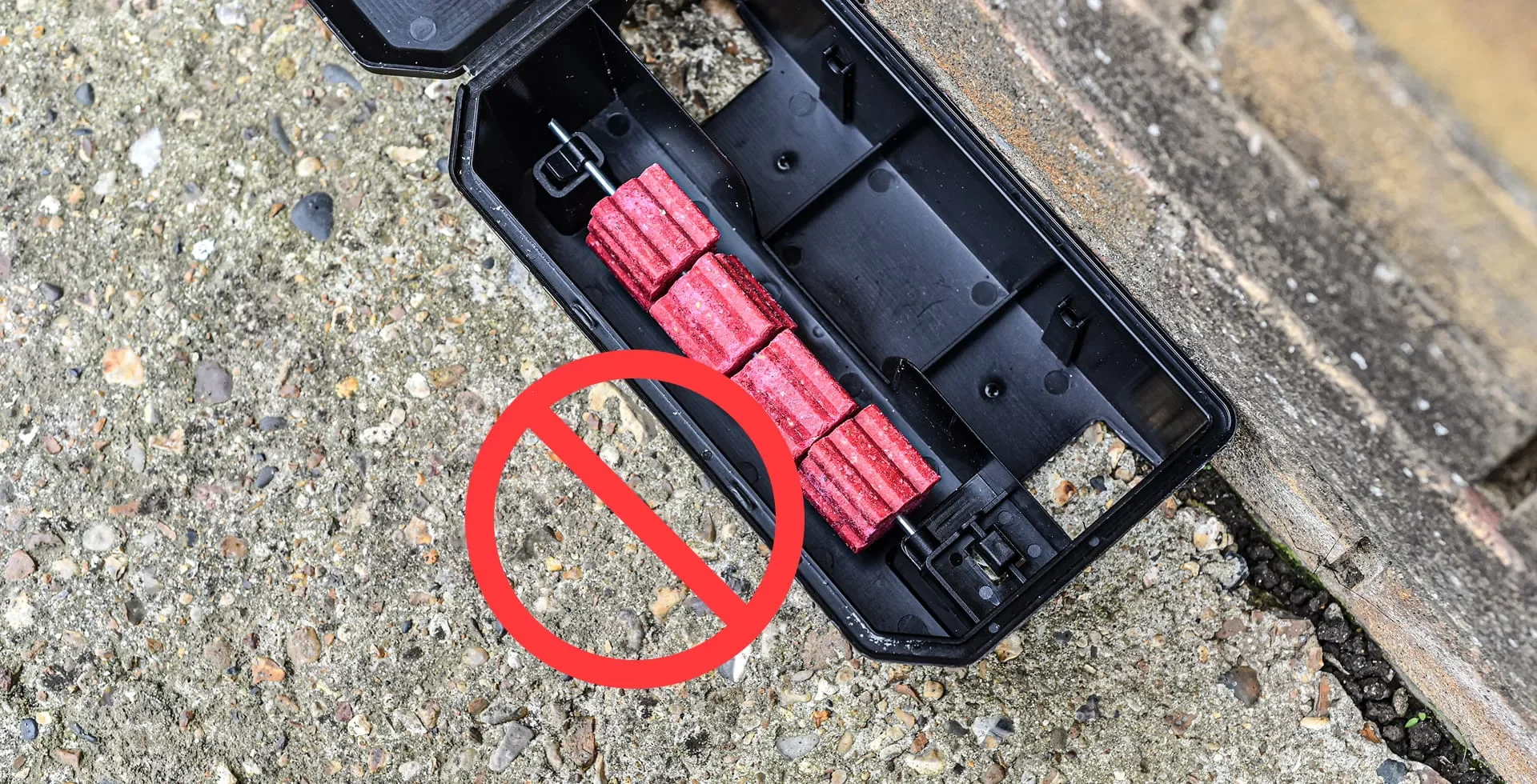 Köderstation mit Giftködern, die bald nicht mehr zulässig sind